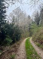 Uitzicht op het Zwembad