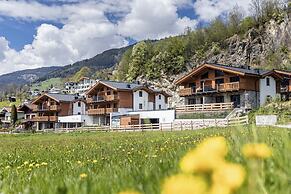 Luxurious Chalet With Sauna Near the Bathing Lake
