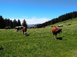 Holiday Apartment Tannenblick