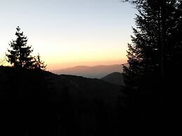 Holiday Apartment Tannenblick