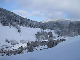 Beautiful Holiday Flat in the Harz Mountains