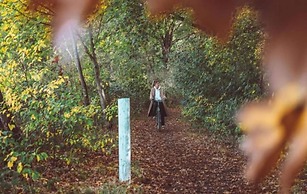Poolside Escape With Sauna