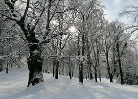 Belvilla by OYO Le Plejadi Quadri Otto