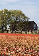 Country Life Comfortable Holiday Residence