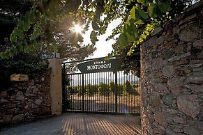 Montofoli Wine Estate