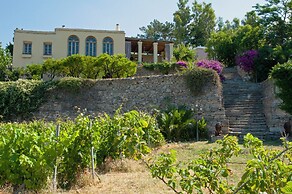 Montofoli Wine Estate
