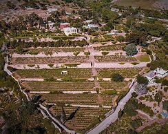 Montofoli Wine Estate