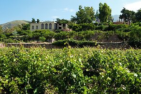 Montofoli Wine Estate