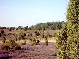 at Bunge Heath Farm