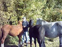 at Bunge Heath Farm