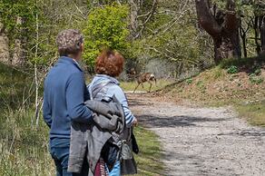 Holiday Home Near the Town Centre of Renesse