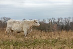 Holiday Home Near the Town Centre of Renesse