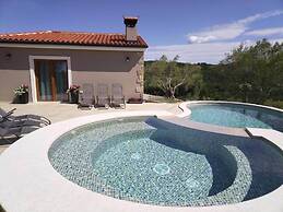 Modern Villa With Swimming Pool and Garden