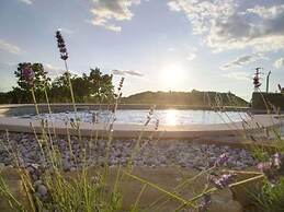 Modern Villa With Swimming Pool and Garden