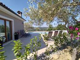 Modern Villa With Swimming Pool and Garden