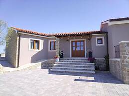 Modern Villa With Swimming Pool and Garden