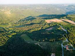 Modern Villa With Swimming Pool and Garden