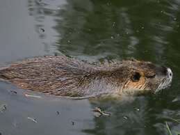 Spreewald Break Modern Retreat
