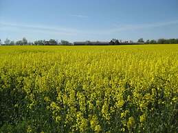 Holiday Apartment Itzke 2