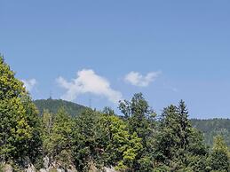 Luxury Chalet With Private Sauna in Uttendorf