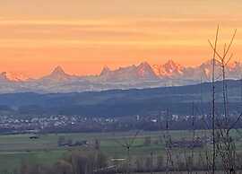 Lovely Bungalow in Hallschlag With Terrace
