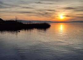 Lovely Bungalow in Hallschlag With Terrace