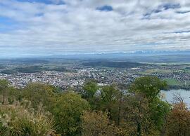 Lovely Bungalow in Hallschlag With Terrace