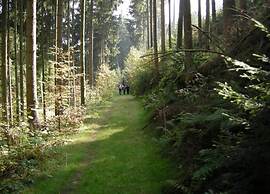 Waxweiler Woodland Bungalow