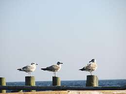 In the Villa Granitz