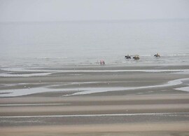 Apartment in Oostduinkerke Near the Beach