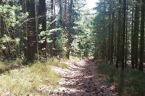 Holiday Apartment Mossauer Hohe