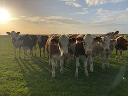 Elsewhere Comfortable Holiday Residence