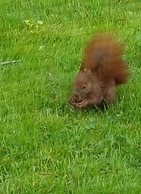 Holiday Home Amelie Comfortable Vacation Home