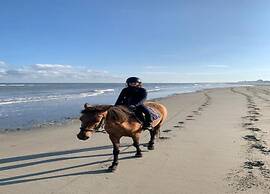 Cosy Polder House Near the Coast