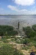 House by the Paddock