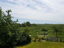 House by the Paddock