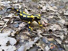 Emerald - Holiday Home for