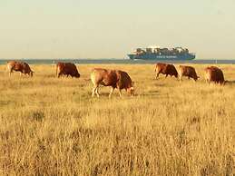 Starfish Modern Retreat