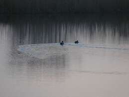 Starfish Modern Retreat