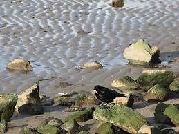 Starfish Modern Retreat