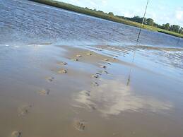 Starfish Modern Retreat