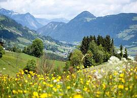 Beautiful Holiday Home in Kundl in Tyrol