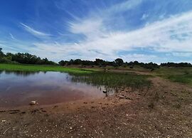 Villa in Vidauban With Pool and BBQ