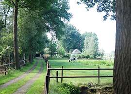 Glamping Tent Near Zwolle