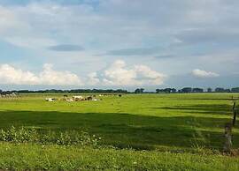Glamping Tent Near Zwolle