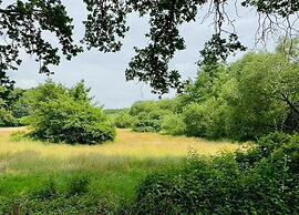 Glamping Tent Near Zwolle