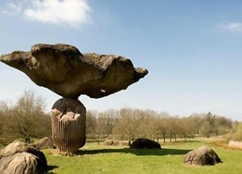 Glamping Tent Near Zwolle