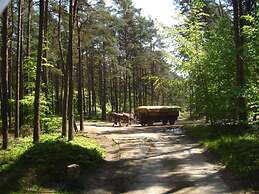 Holiday Home Crane's Nest