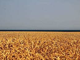 Holiday Home Lilly Comfortable Vacation Home