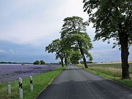 Lake View Modern Retreat